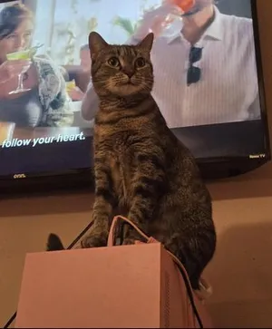 Tiki