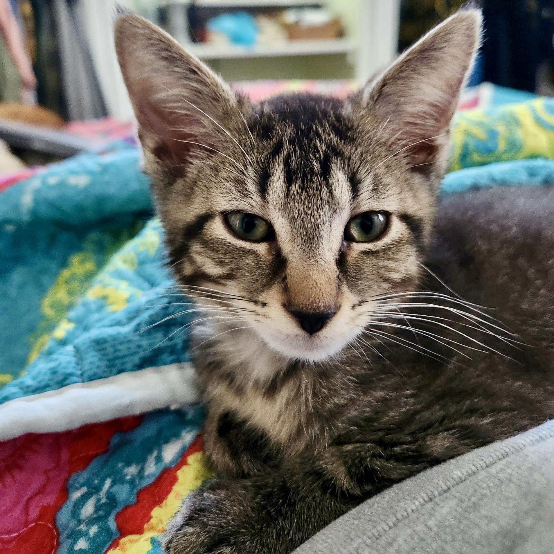 Neutron