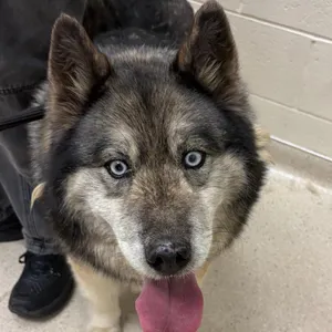 Bella