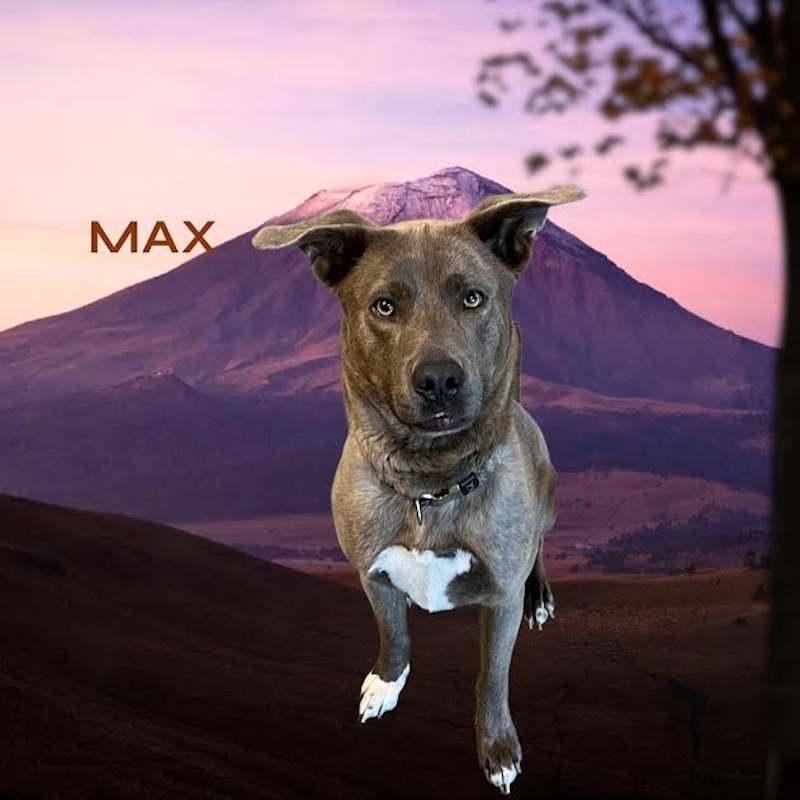 Max