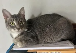 Mia