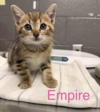Empire