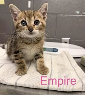 Empire
