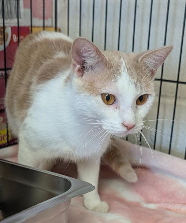 Max (Photos January 2026)