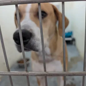190613 LOOKING FOR OWNER
