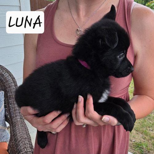 Luna