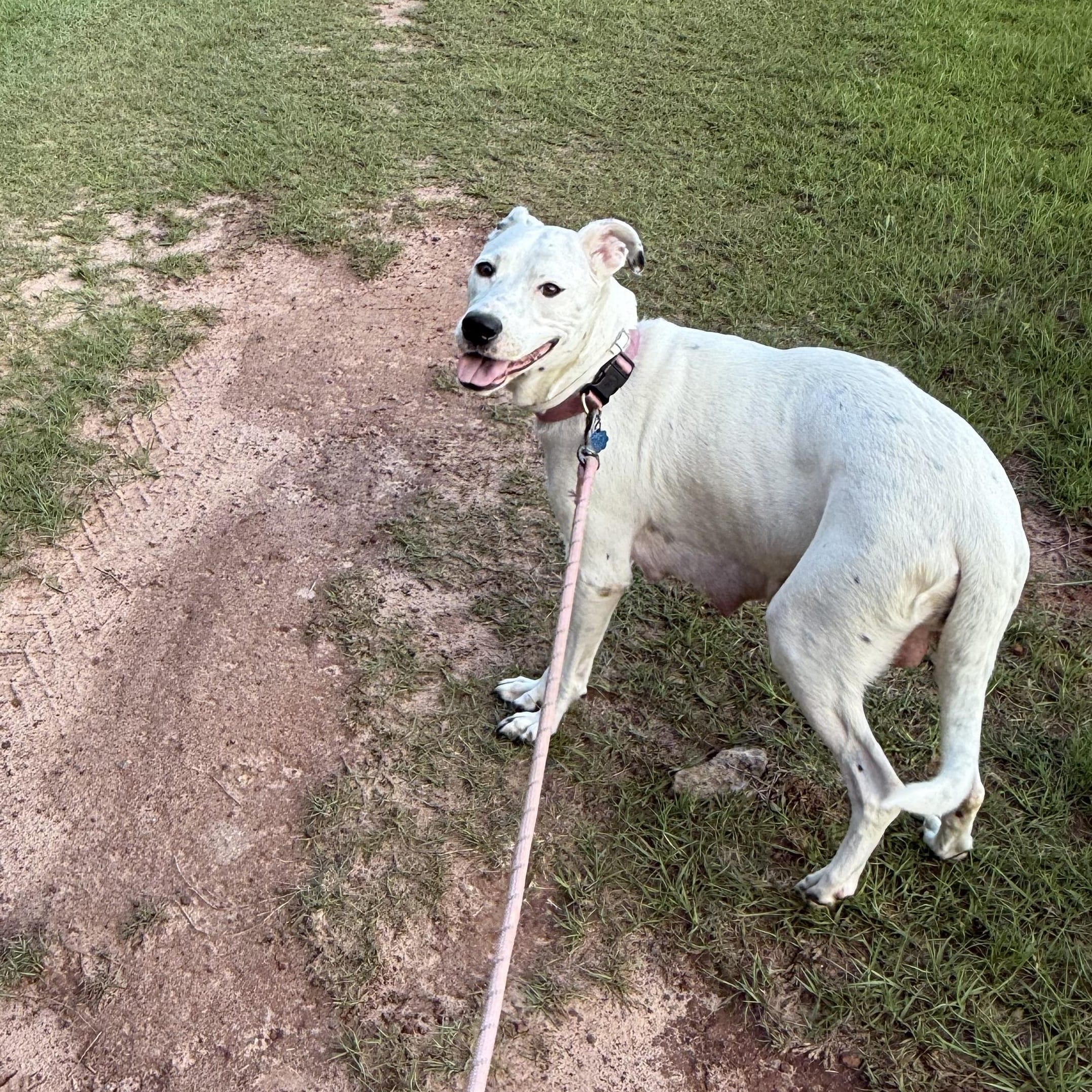 Chloe