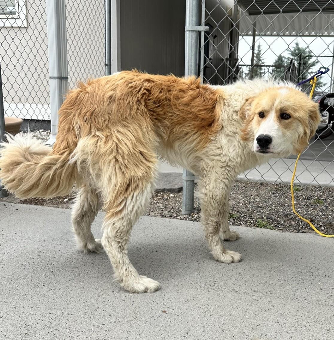 61149552