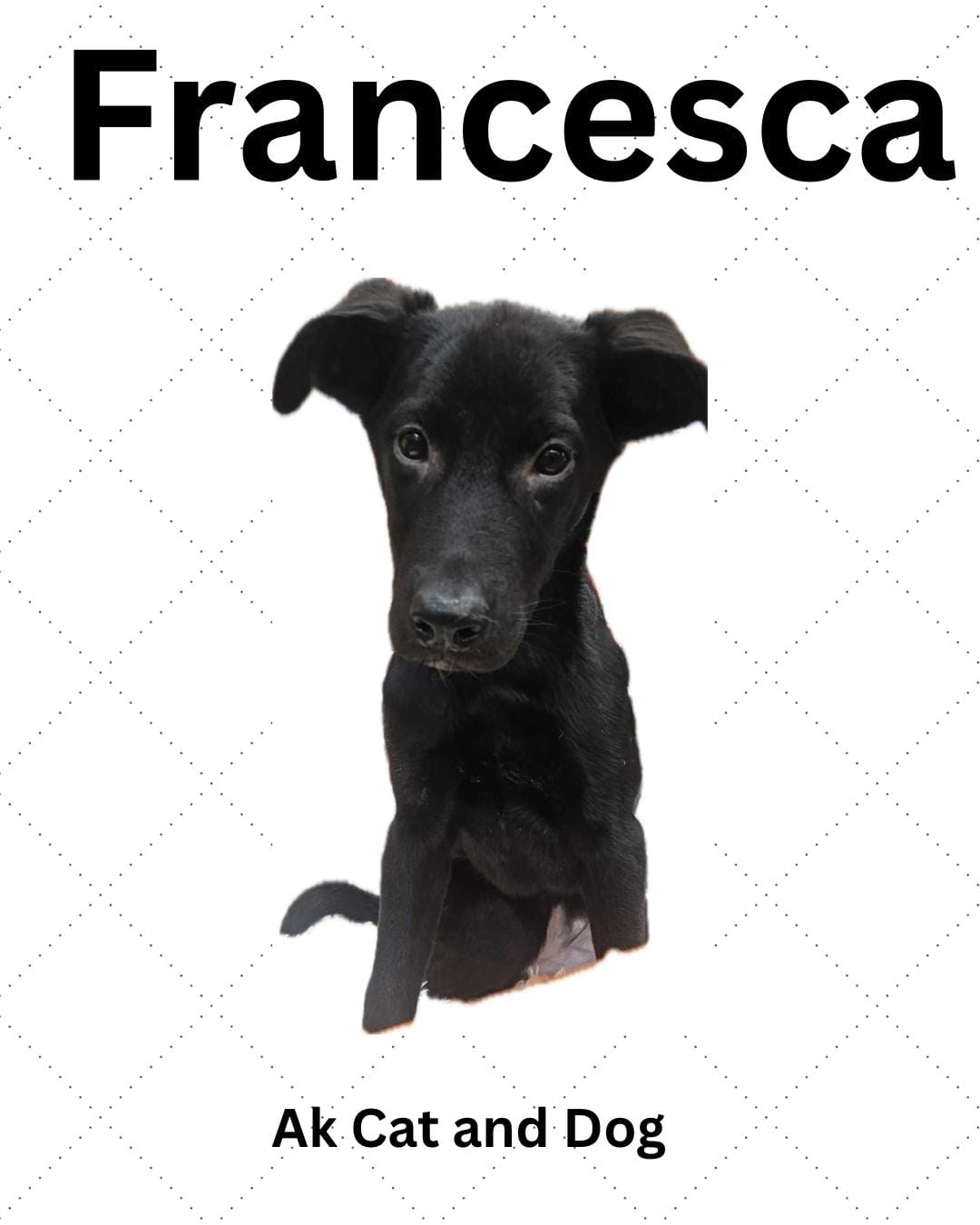 Francesca
