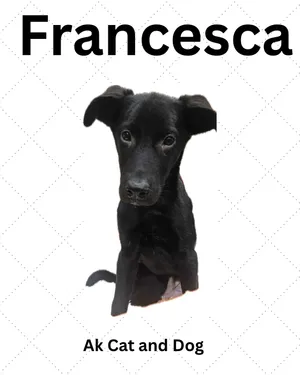 Francesca