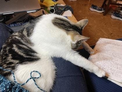 Pixel