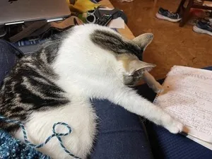 Pixel