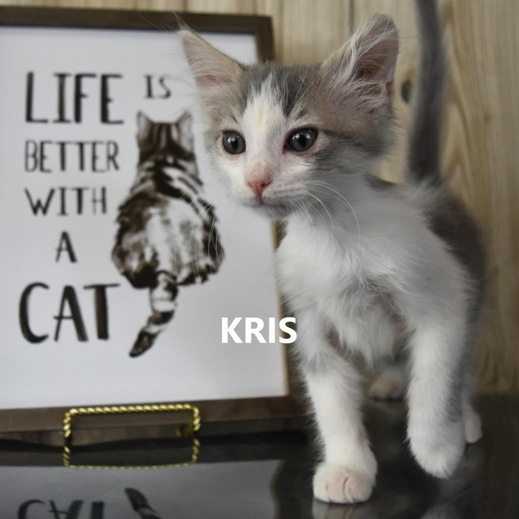 Kris