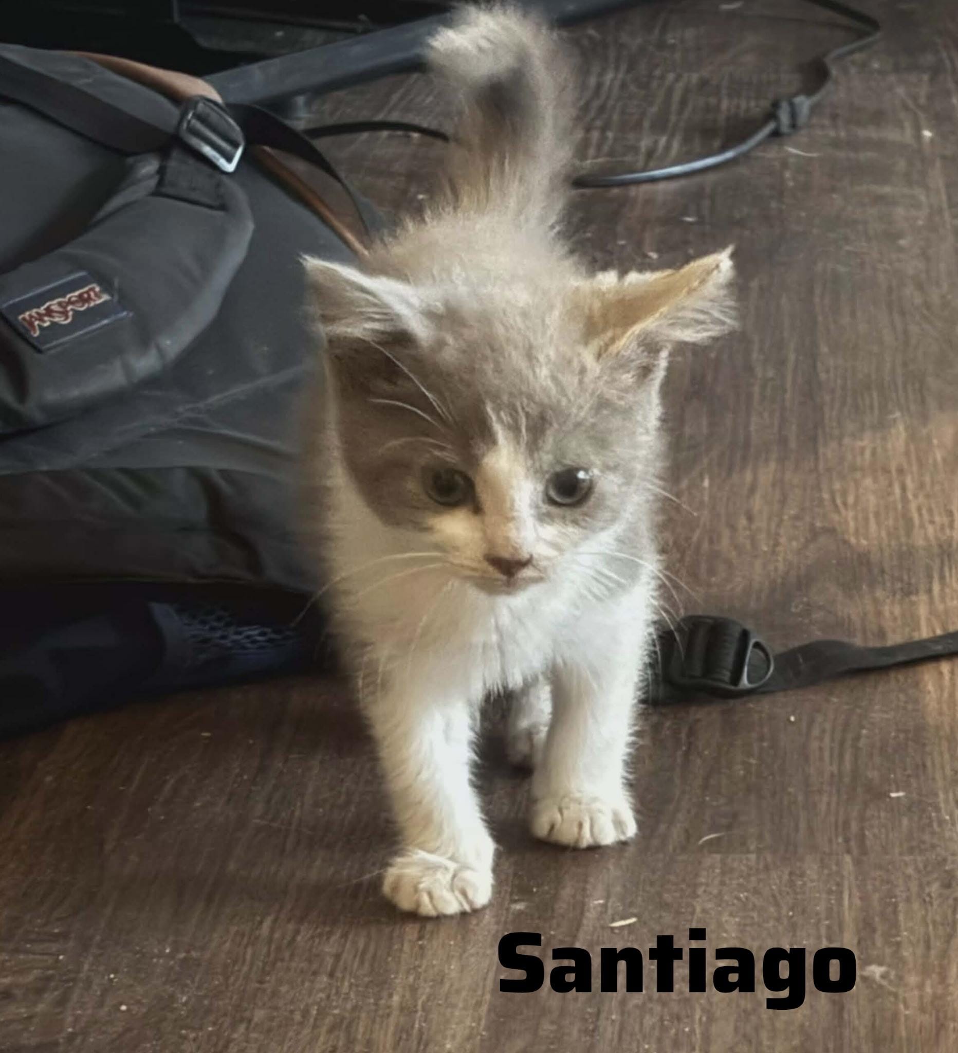 Santiago