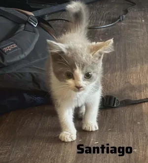 Santiago