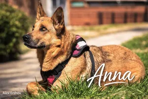 Anna