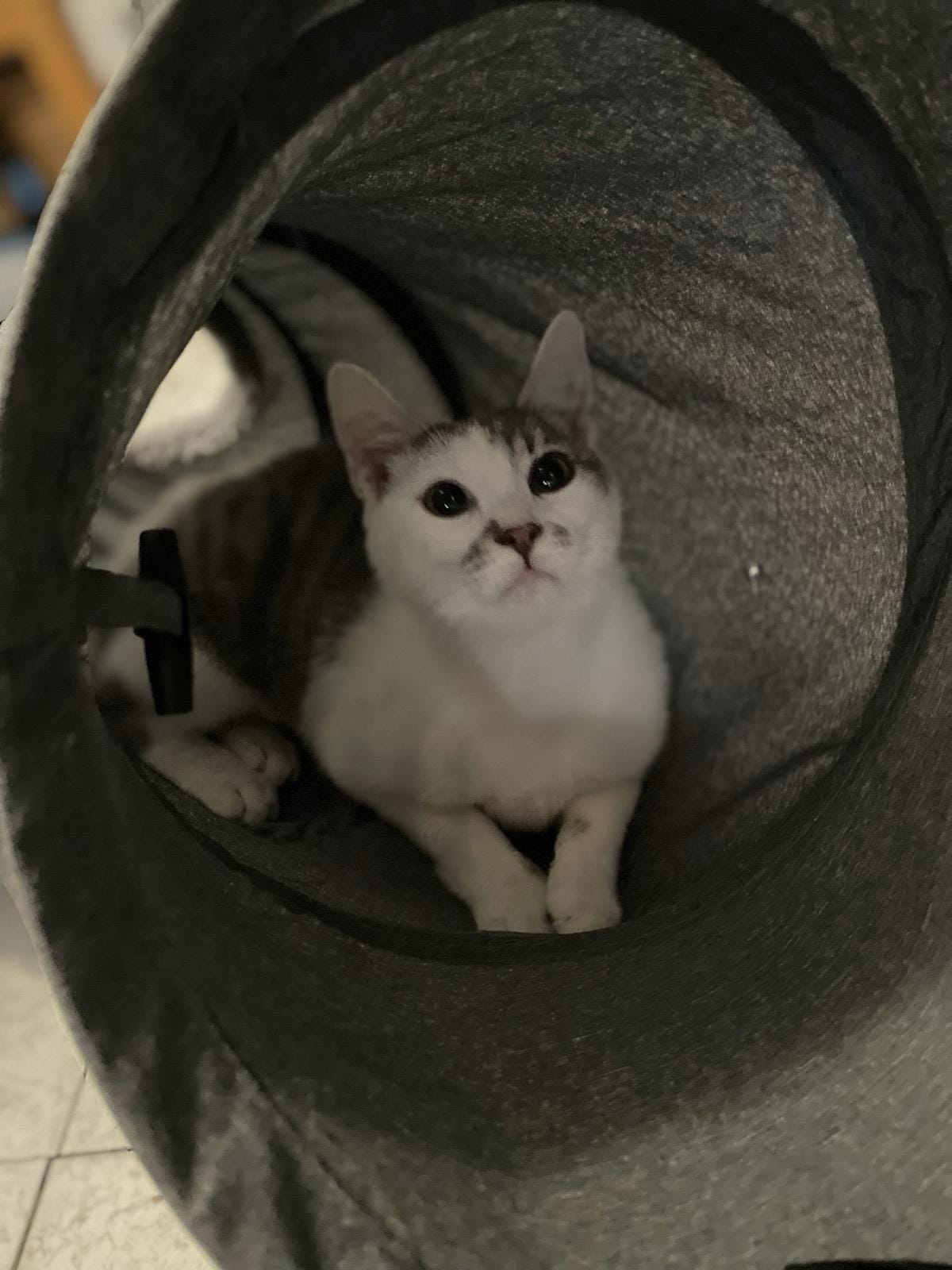 Chloe