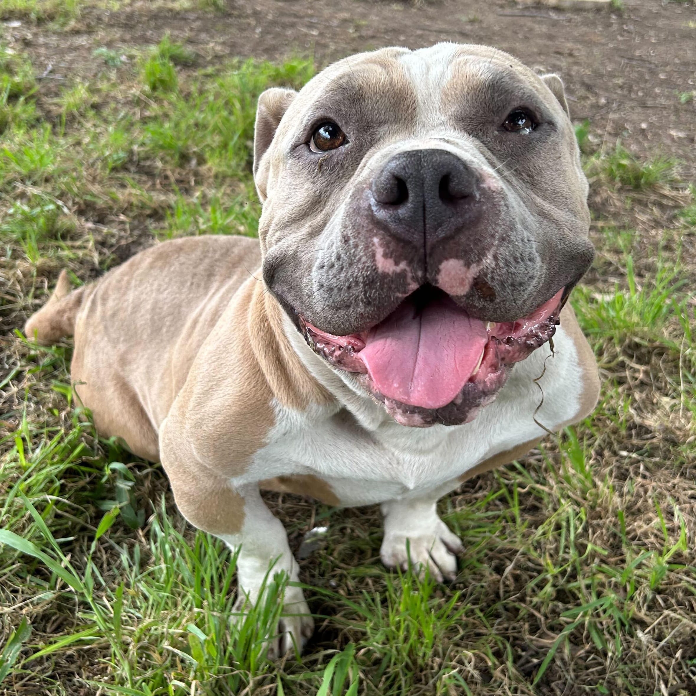 Doink (AKA Myles)
