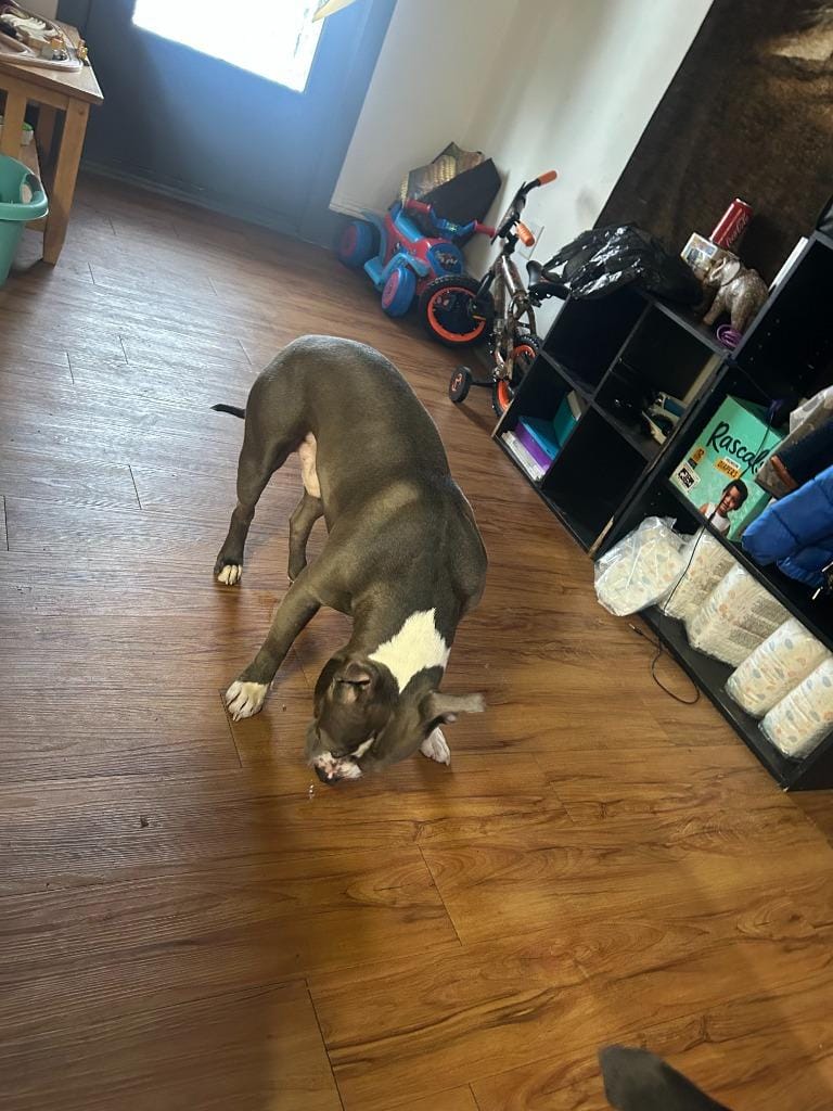 Buggzy **Courtesy Listing**