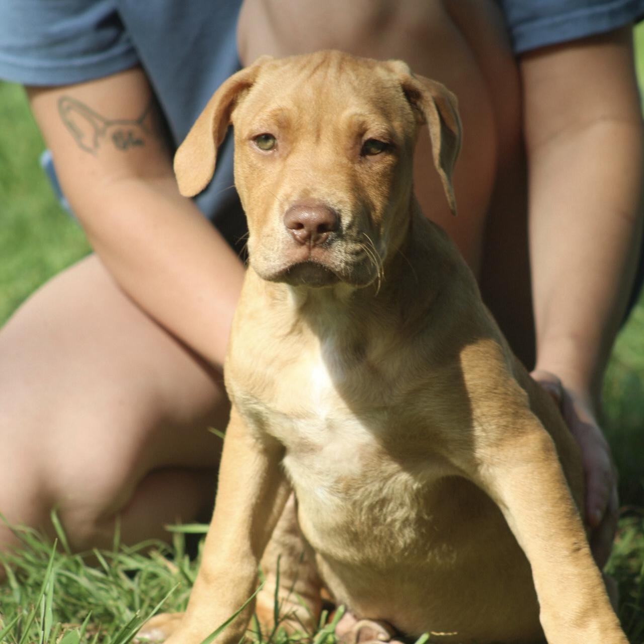 Surfboard