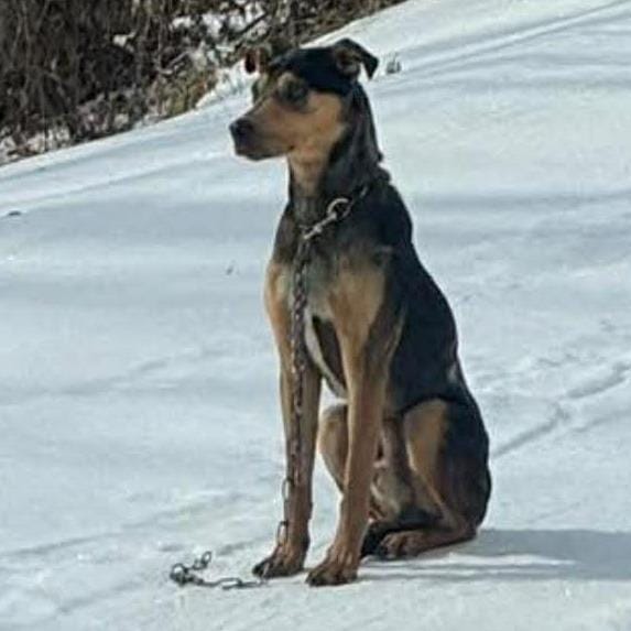 Marcelo Stray Hold 2/9