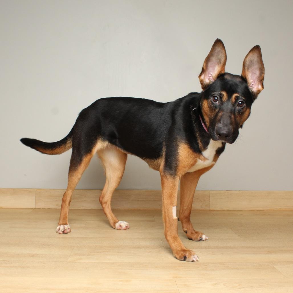 Oona D69191