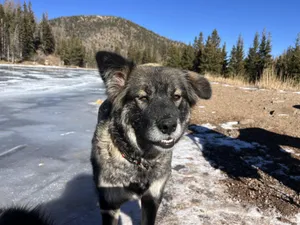Nina the sweetheart