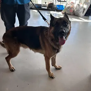 Reese (C000-181) - Chino Hills Location