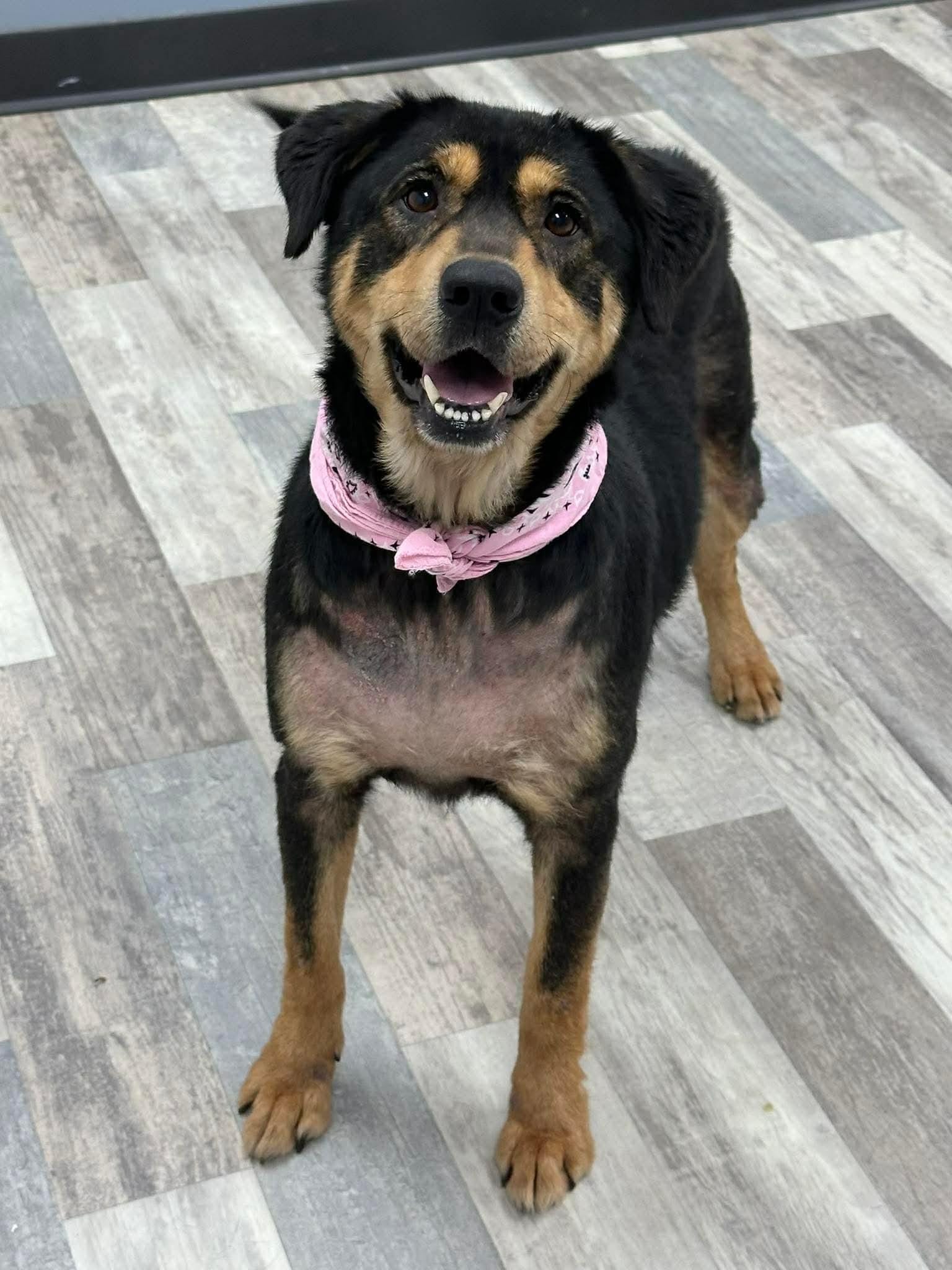 Roxy