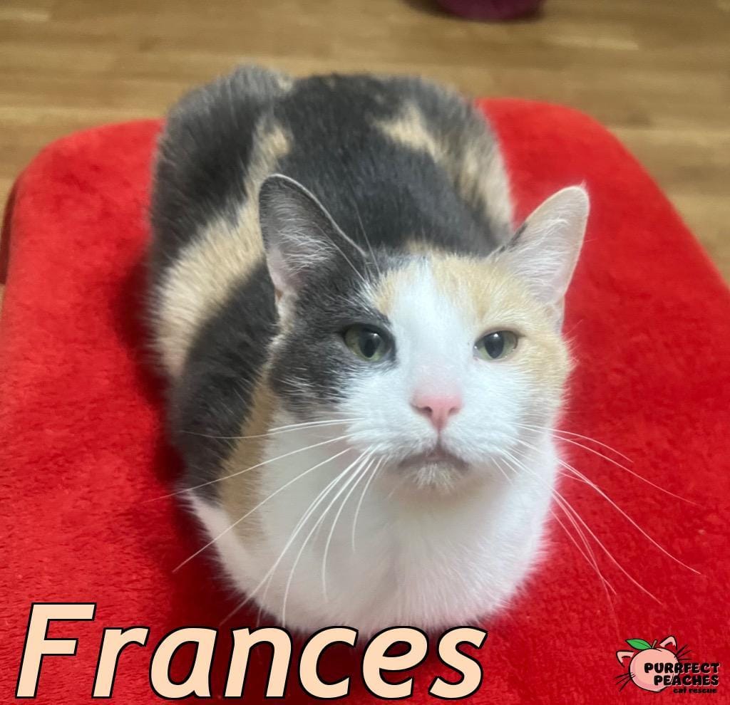 Frances