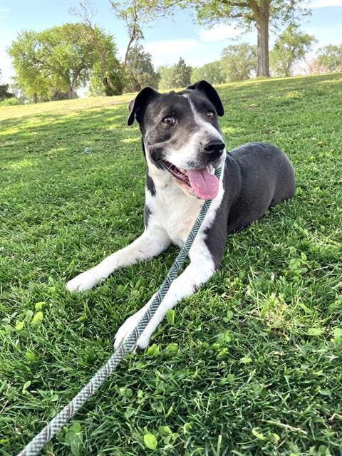 GRACIE MAE