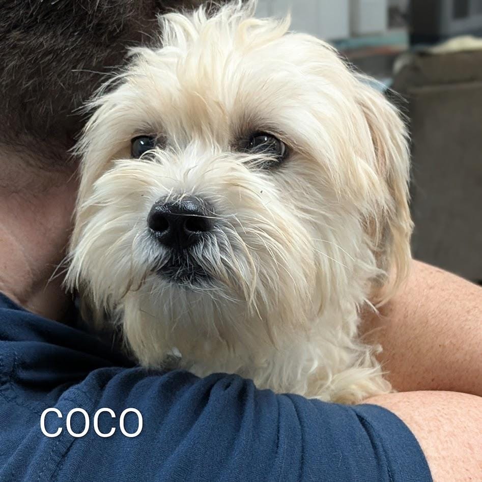 Coco