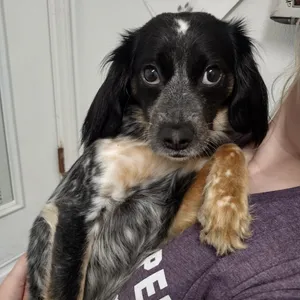Lilah