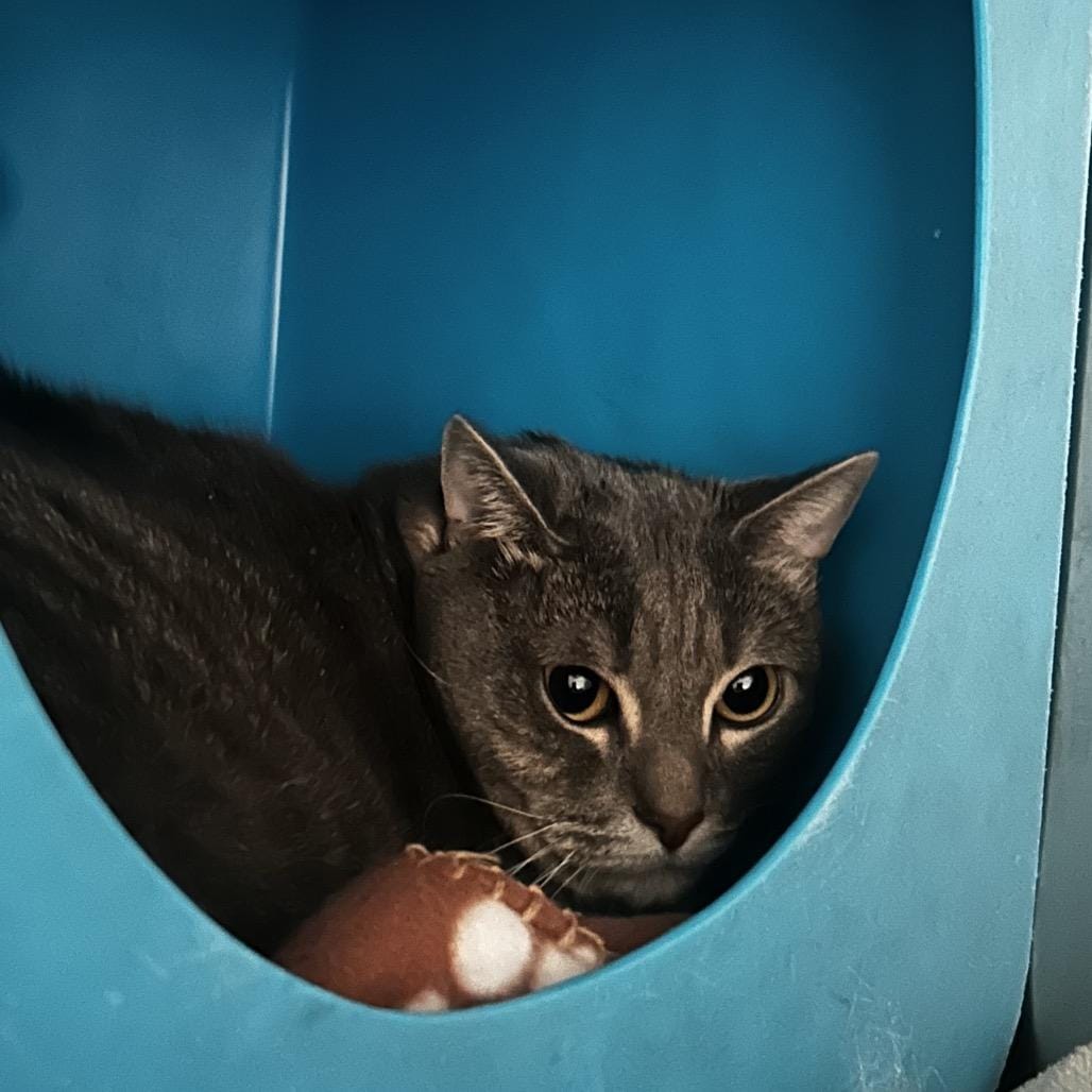 Max