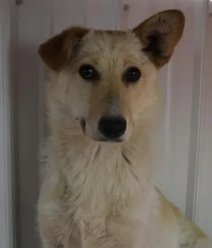 Margo