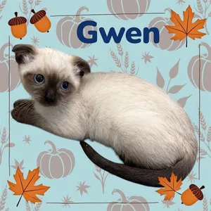 GWEN