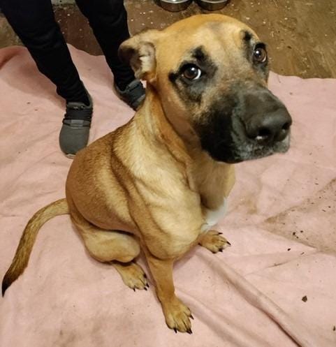 Bonnie (Courtesy Post)