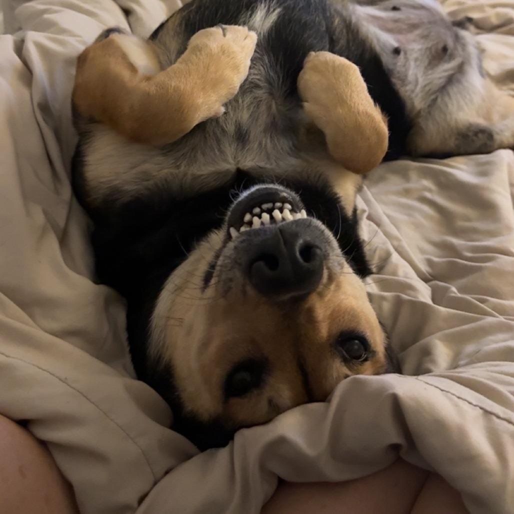 Ellie