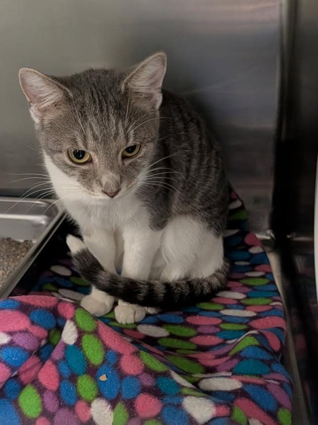 Robin (Photos 1/22/2026)