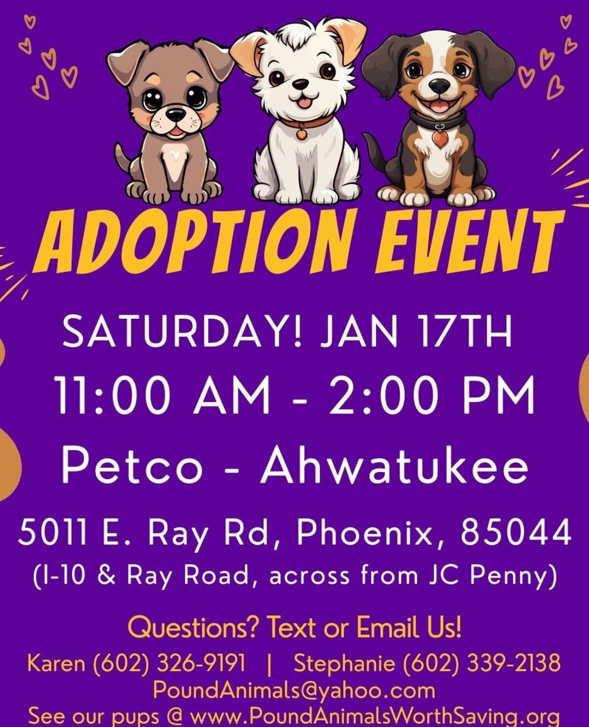 BUSTER– 9 MONTH MALE BEAGLE@ PETCO, 5011 E. RAY ROAD, PHX 85044 ON SATURDAY, JAN. 17th, 11–2PM