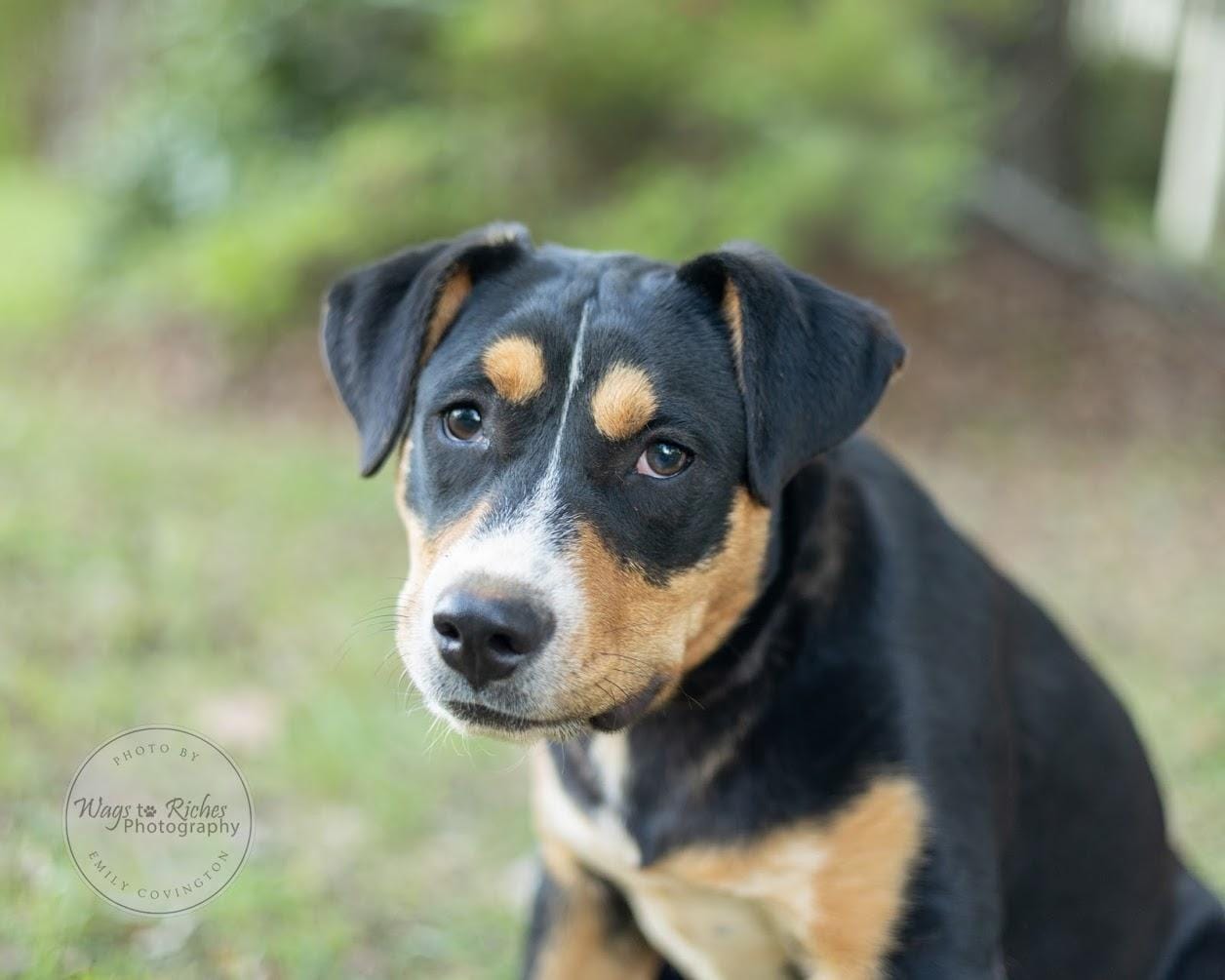 Tucker