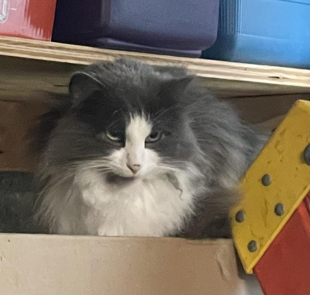 Fluffy