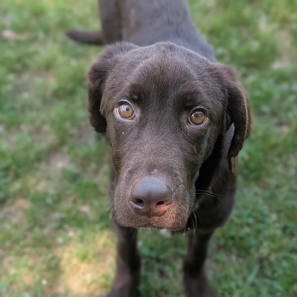 Oakley