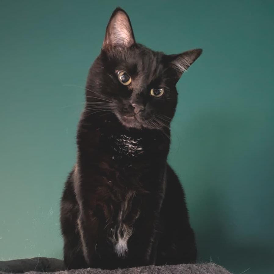 Binx