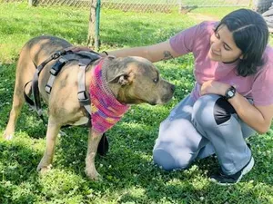 Theadora $85 Fostered