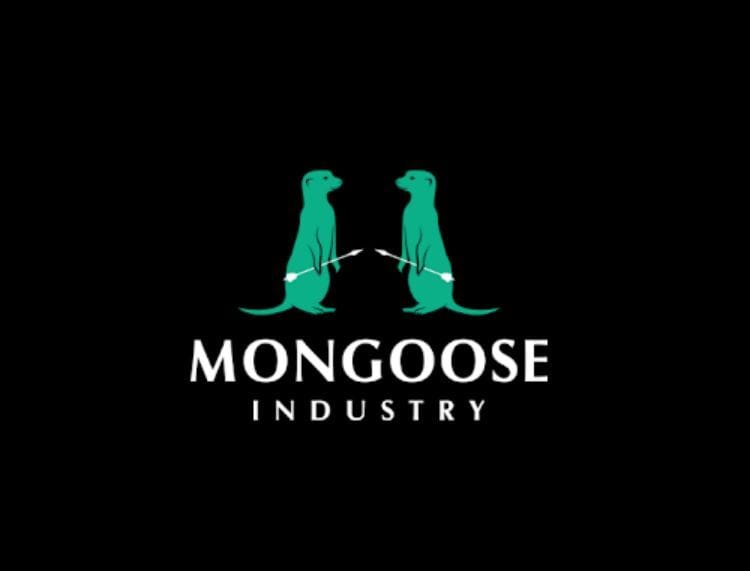 Mongoose Auto Repair Shop
