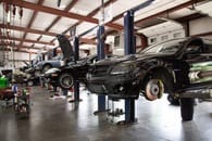 Eurofed Automotive - Southend