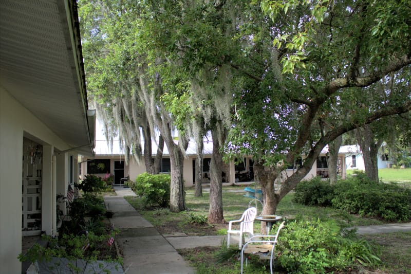 DELANEY HEIGHTS