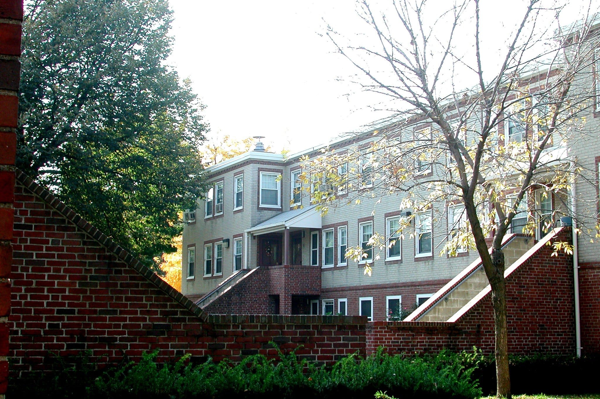 Washington Elms