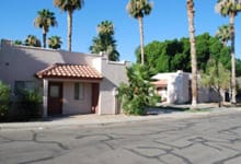 HACY Palms